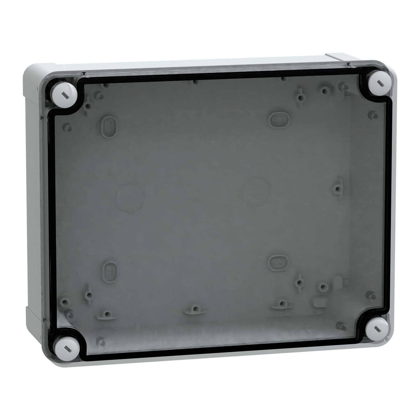 Schneider Electric-NSYTBP24198T-Thalassa - boîte industrielle - transparente - 241x192x87mm - PC