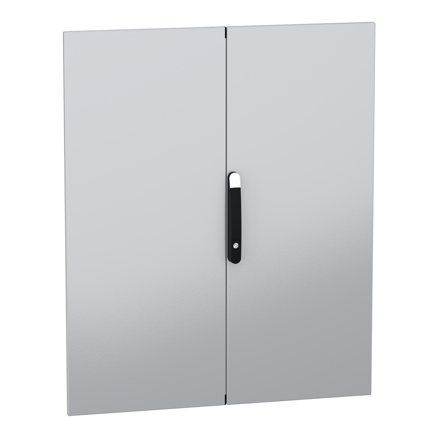 Schneider Electric-NSYSMDN12102D-PanelSeT SFN Accessoires - porte pleine double - 1200x1000 mm (HxL)