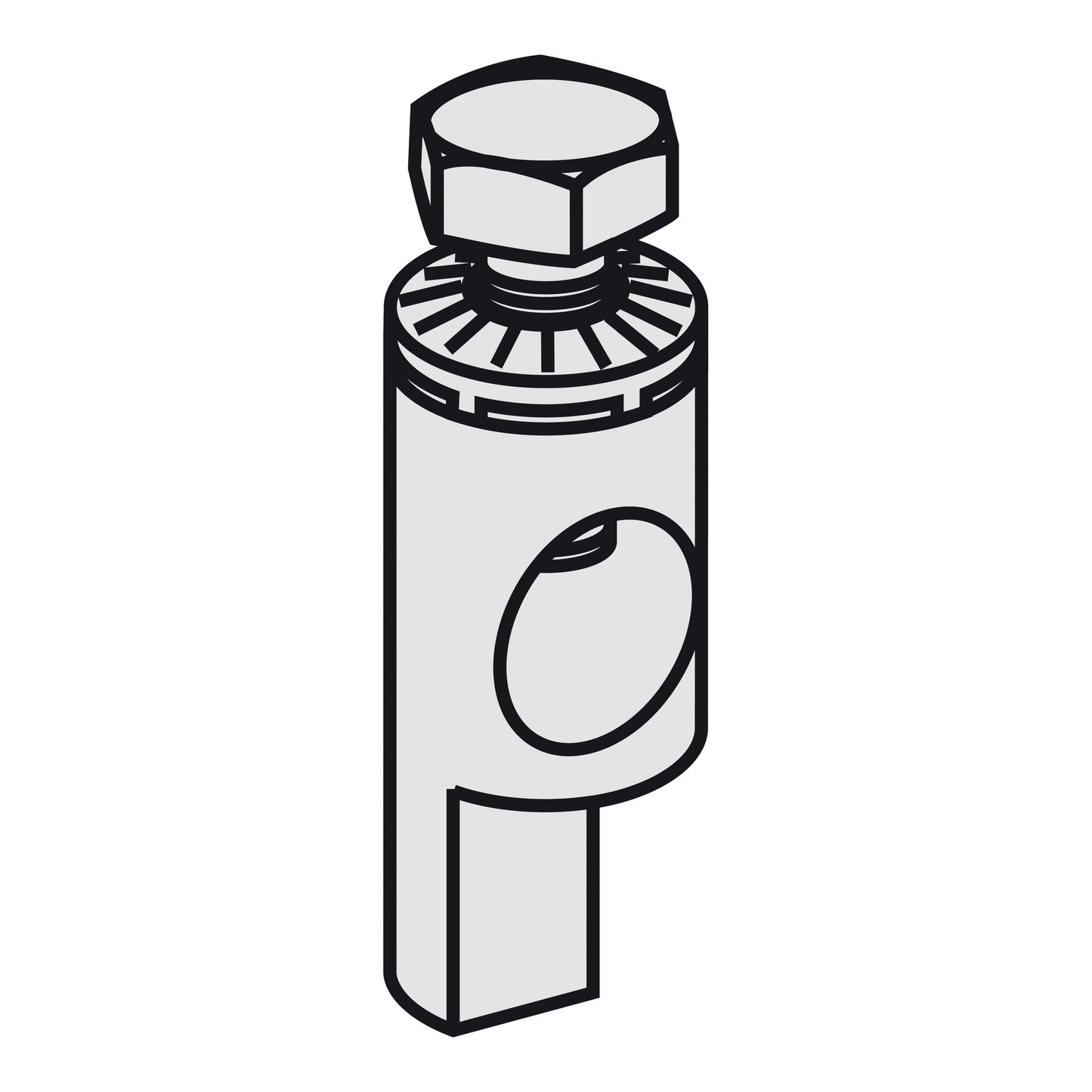 Schneider Electric-18528-C120 - cache-borne - prise arrière - 1P - lot de 2