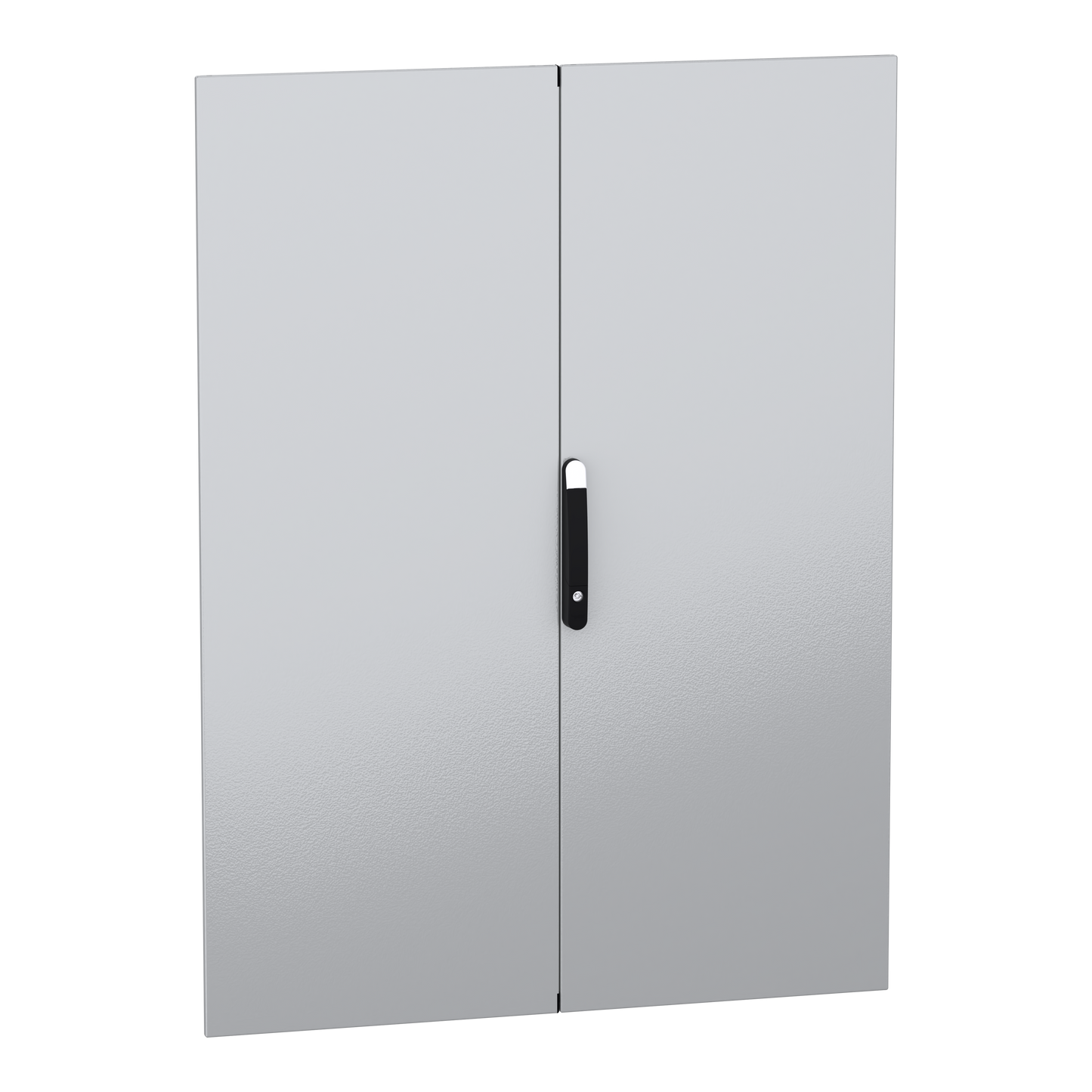 Schneider Electric-NSYSMDN16122D-PanelSeT SFN Accessoires - porte pleine double - 1600x1200 mm (HxL)