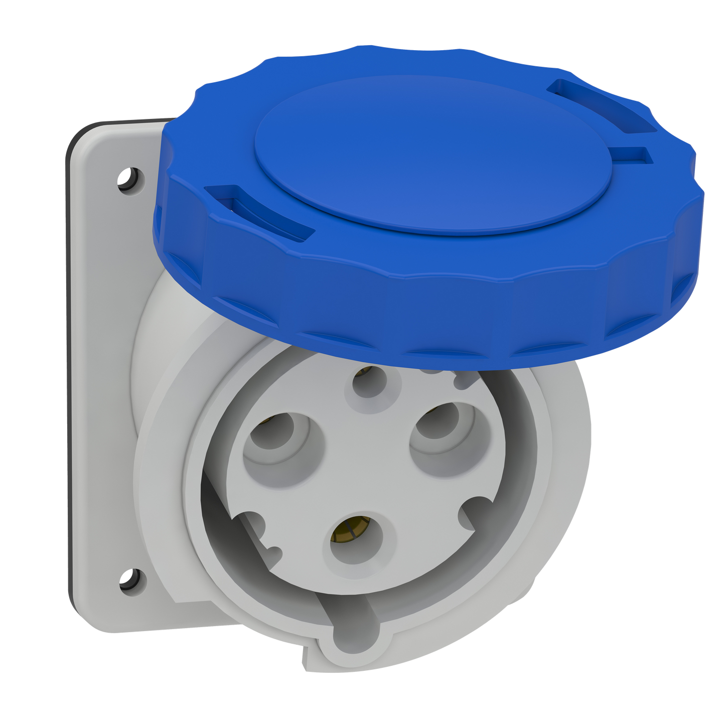 Schneider Electric-81278-Mureva - socle de prise industrielle - CEE 63A 3P 230V 6U - inclinée - IP67