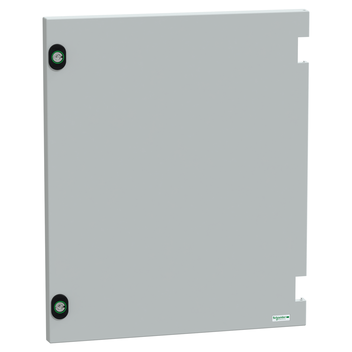 Schneider Electric-NSYDPLM54G-Porte sans serrure PLM54