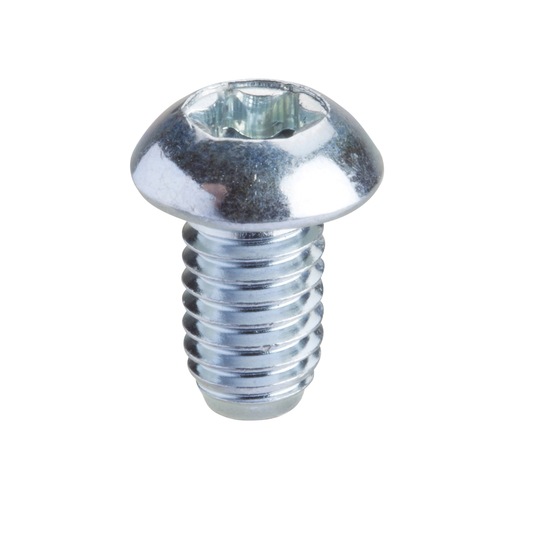 Schneider Electric-NSYSPM6-PanelSeT - Thalassa - vis Torx T30 - M6x10mm