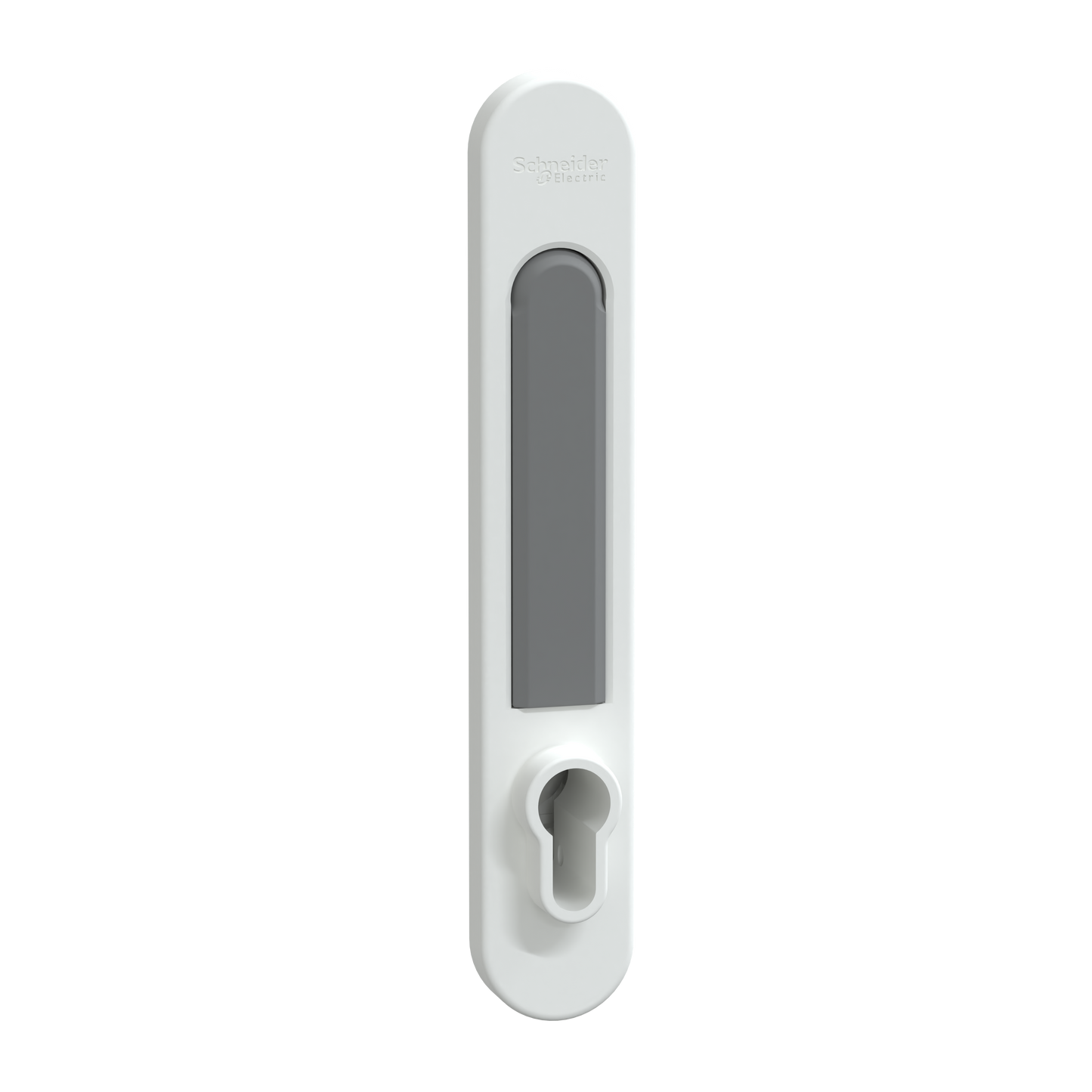 Schneider Electric-LVS07932-PrismaSeT G - Poignée EURO PrismaSeT - IP30 & pack 250 - Blanc RAL9003