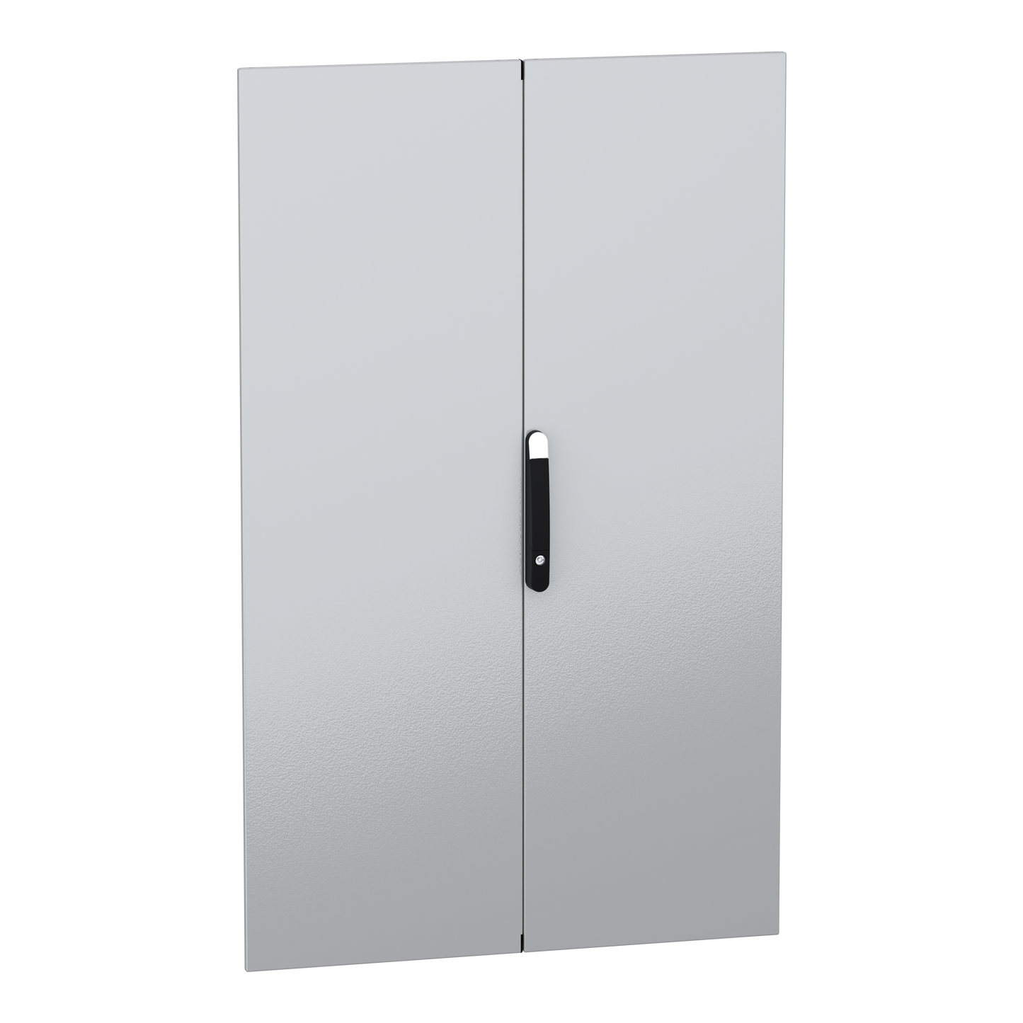 Schneider Electric-NSYSMDN16102D-PanelSeT SFN Accessoires - porte pleine double - 1600x1000 mm (HxL)