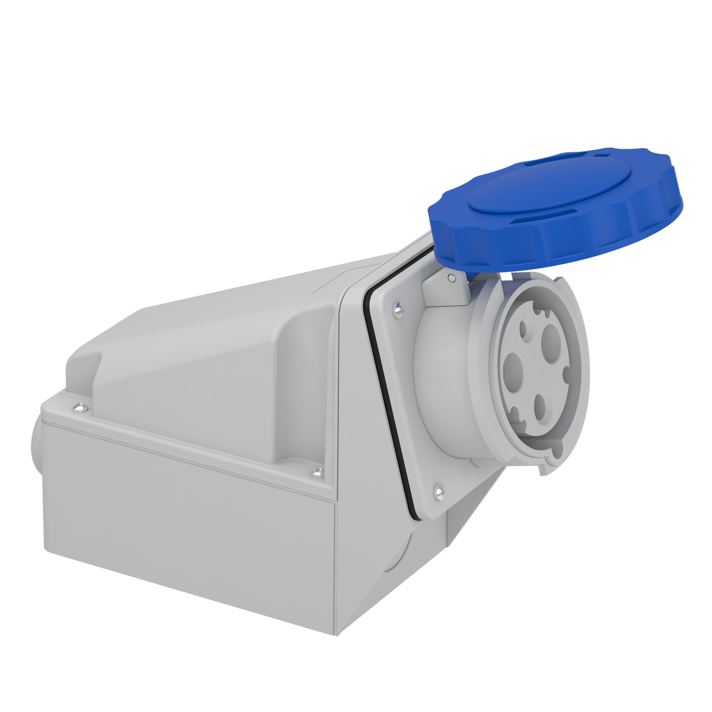 Schneider Electric-81178-Mureva - socle de prise industrielle - 63 A - 2P+T - 200..250 V CA - IP 67