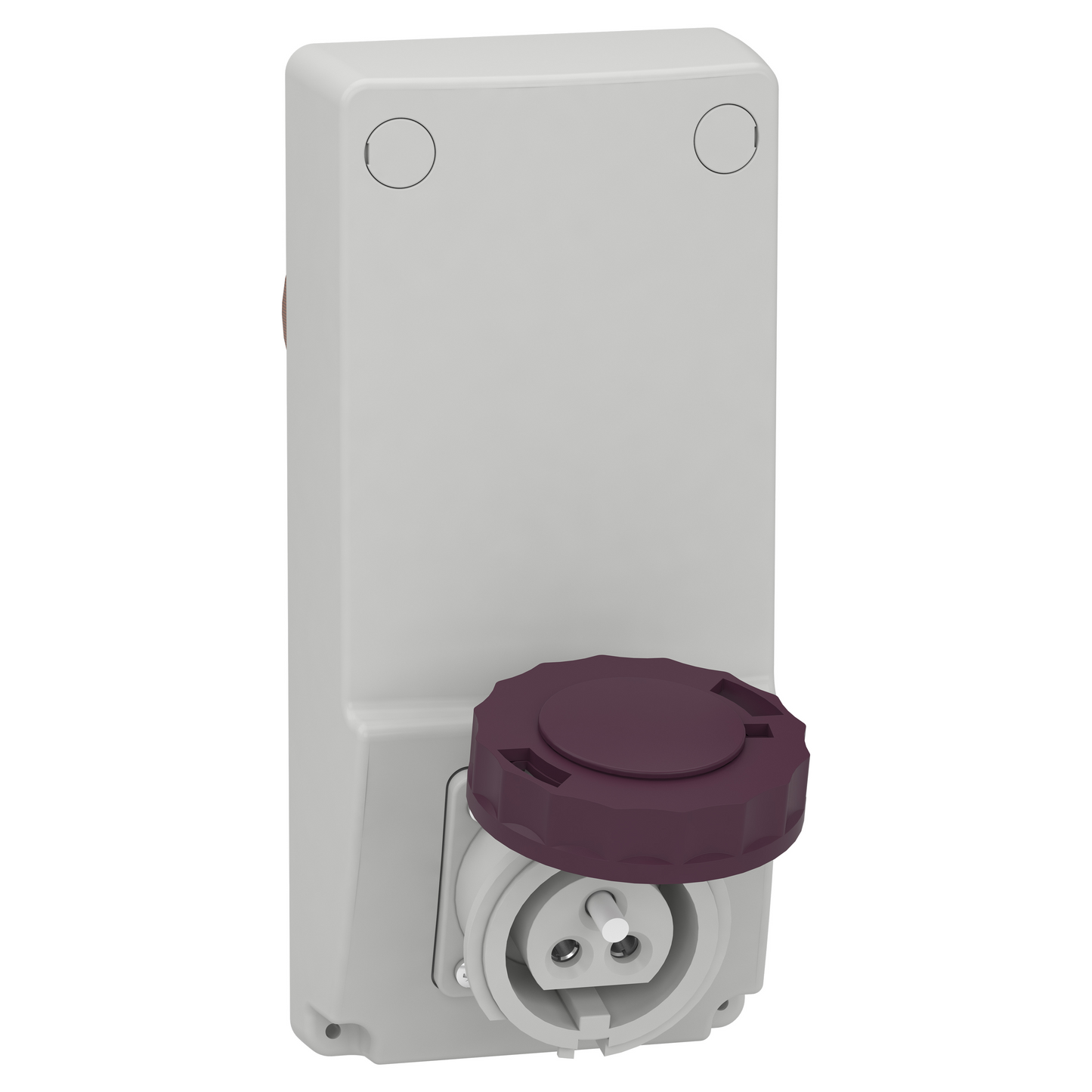 Schneider Electric-82076-Mureva - prise interverrouillée - 16A - 2P - 230Vca - IP65 - panneau