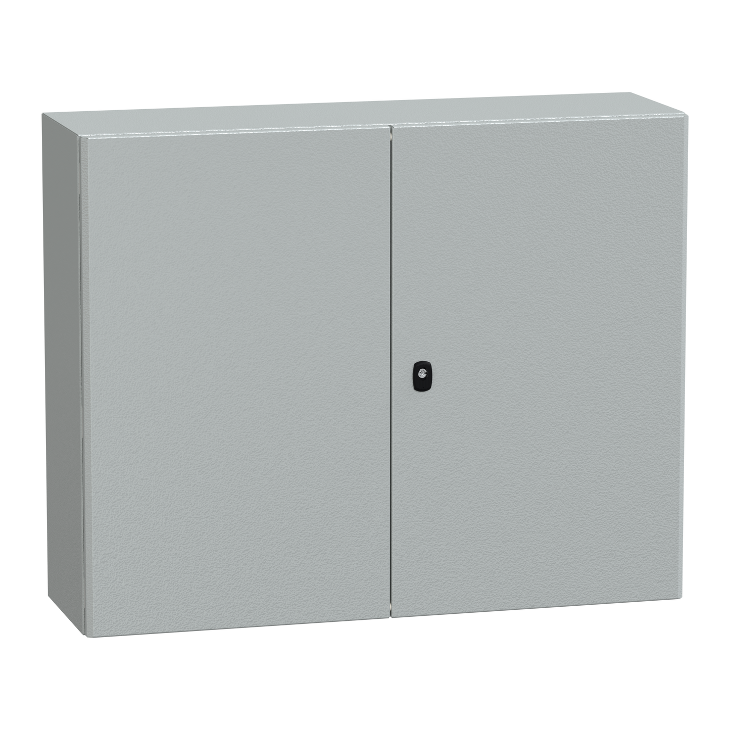 Schneider Electric-NSYS3D81030D-PanelSeT S3D - Enveloppe acier - H800xL1000xP300 - 2 portes pleines