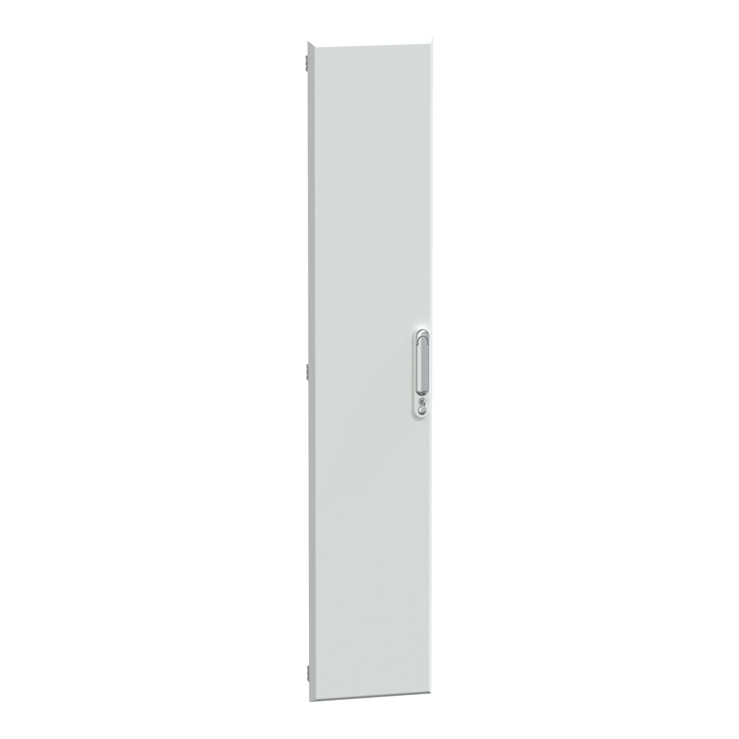 Schneider Electric-LVS08283-PrismaSeT G - Porte pleine gaine d'extension 30M - L300 - RAL9003