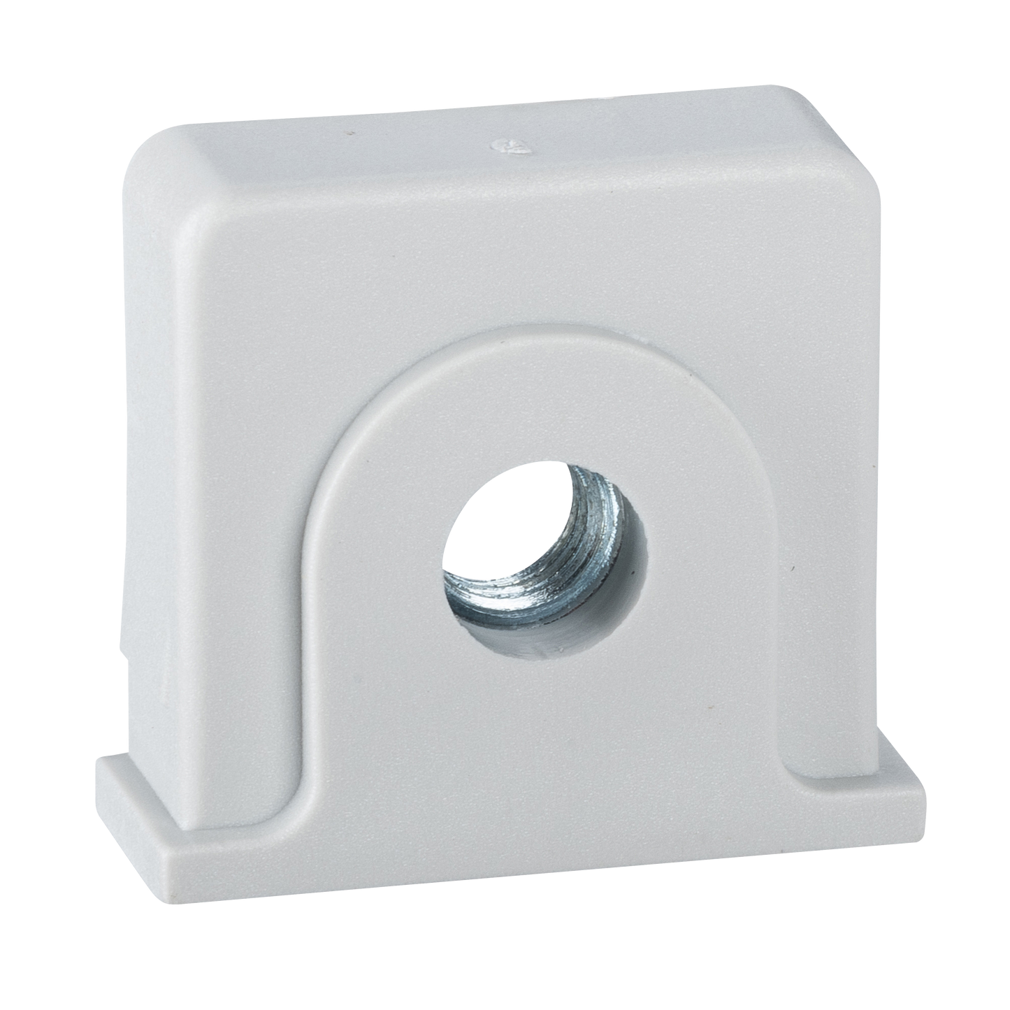 Schneider Electric-NSYTCSM6PLM-Thalassa - écrou plastique M6 de fixation des rails pour coffret PLM