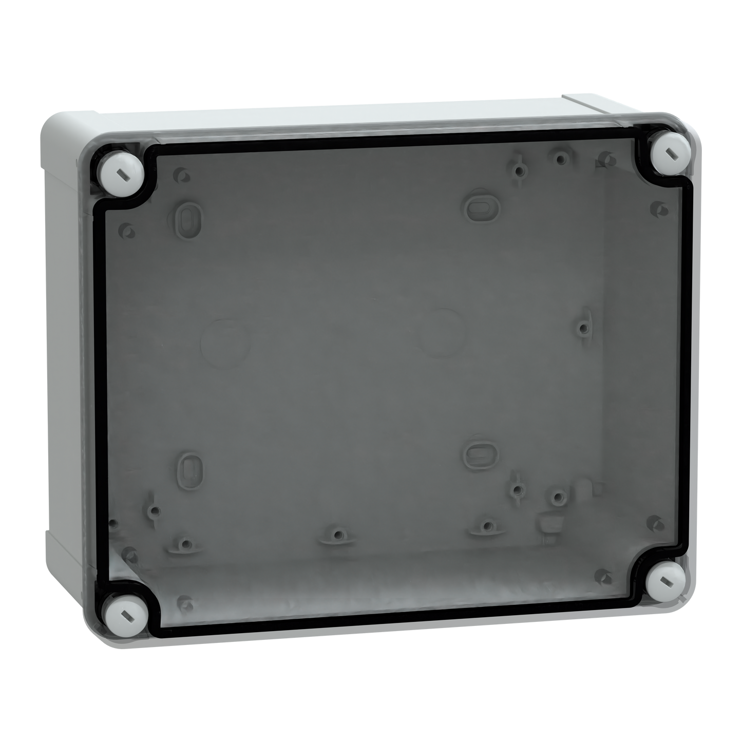 Schneider Electric-NSYTBP241910T-Thalassa - boîte industrielle - transparente - 241x192x105mm - PC