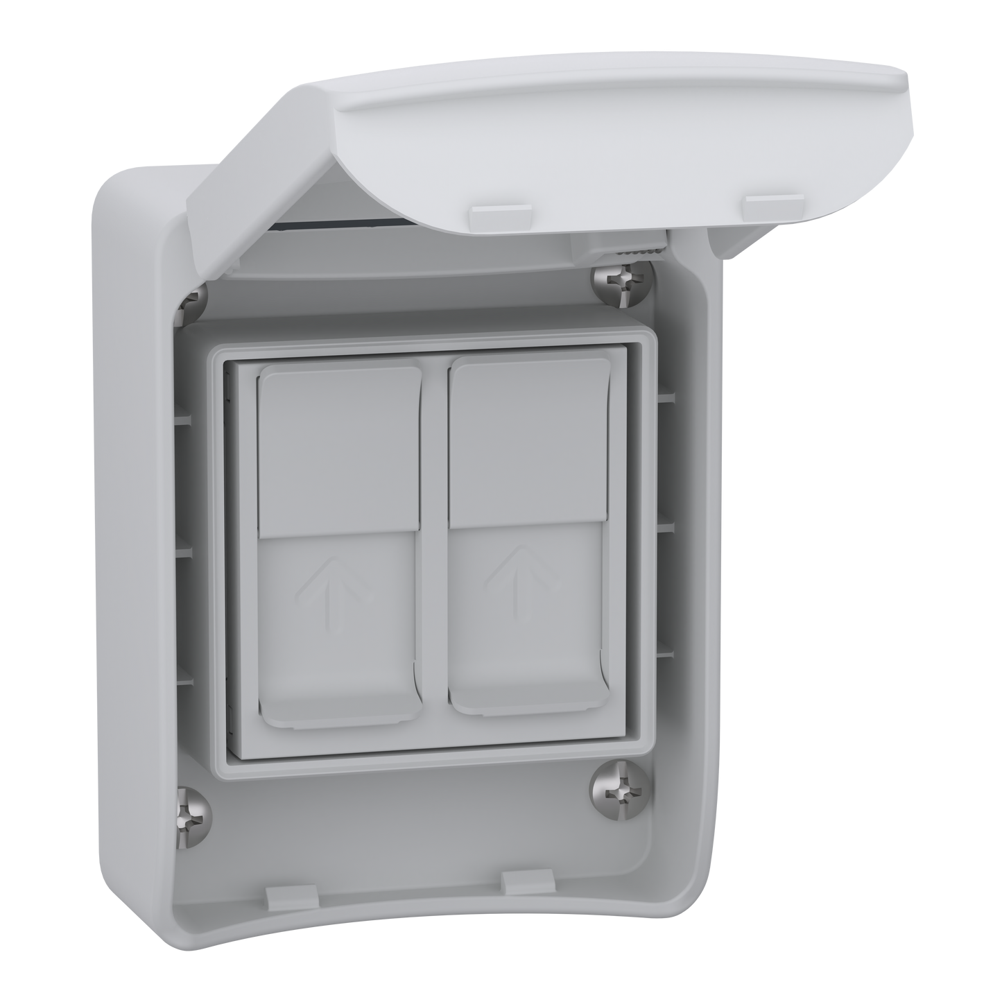 Schneider Electric-81143F-Mureva socle IP65 pour 2 prises RJ45 S-ONE