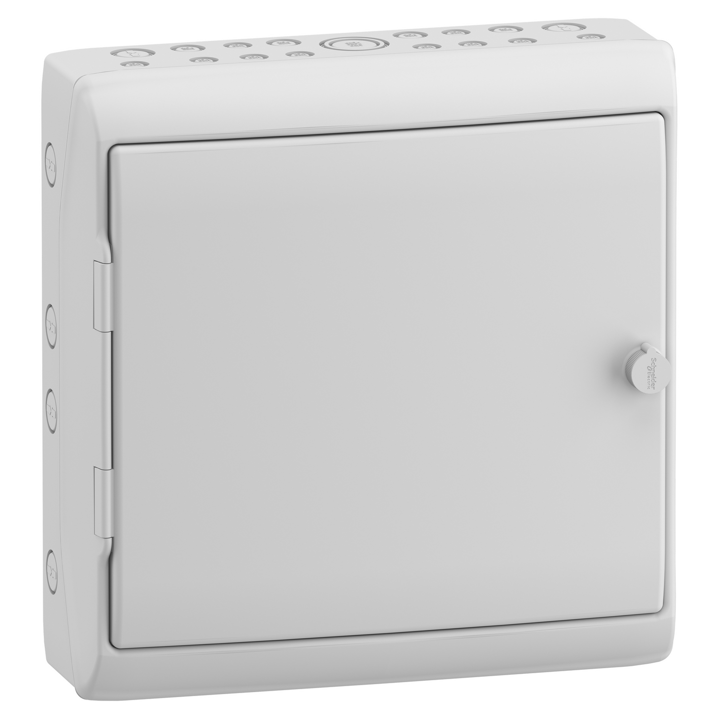 Schneider Electric-13172M-Mureva coffret Polyvalent porte opaque 448x460mm