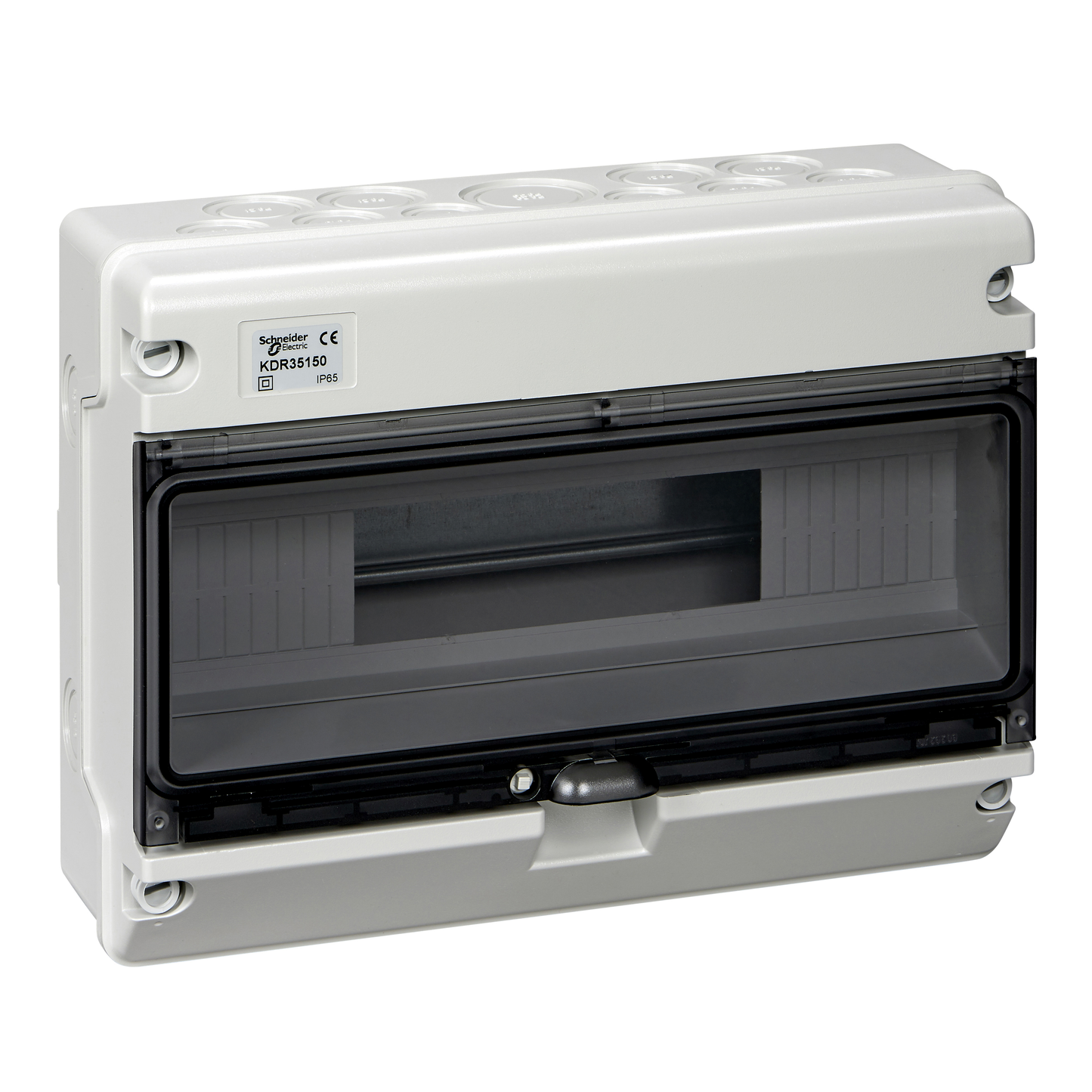 Schneider Electric-KDR35150-MUREVA XT coffret étanche pour appareillage modulaire 1 rangée 16 modules IP65