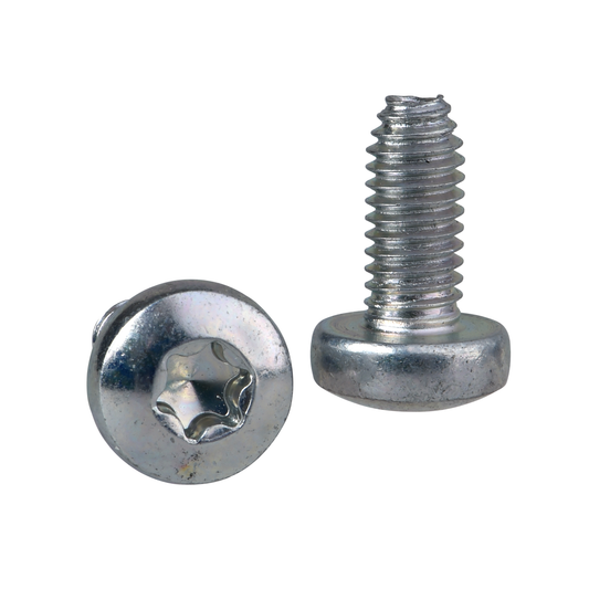 Schneider Electric-NSYST30M6S-PanelSeT - Thalassa - vis Torx autotaraudeuse T30 - M6x12mm