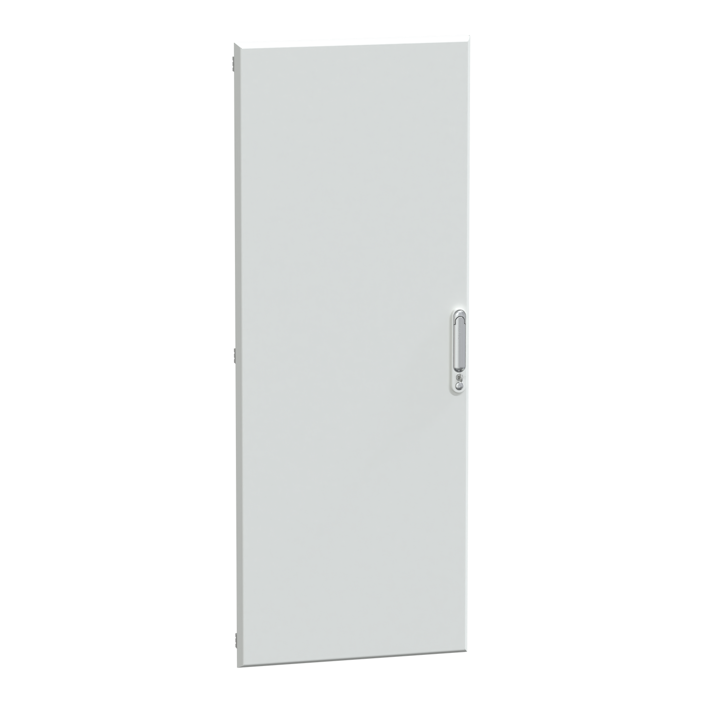 Schneider Electric-LVS08223-PrismaSeT G - Porte pleine - Armoire ou extension 30M - L600 - RAL9003