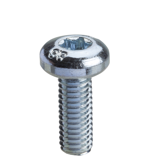 Schneider Electric-NSYST30M6-PanelSeT - Thalassa - Vis Torx T30 (M6x16)