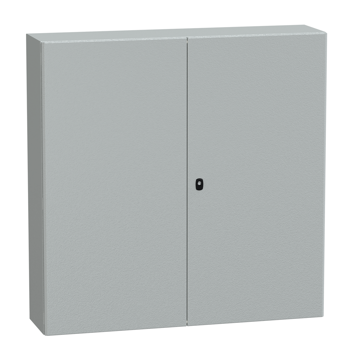 Schneider Electric-NSYS3D121230D-PanelSeT S3D - Enveloppe acier - H1200xL1200xP300 - 2 portes pleines