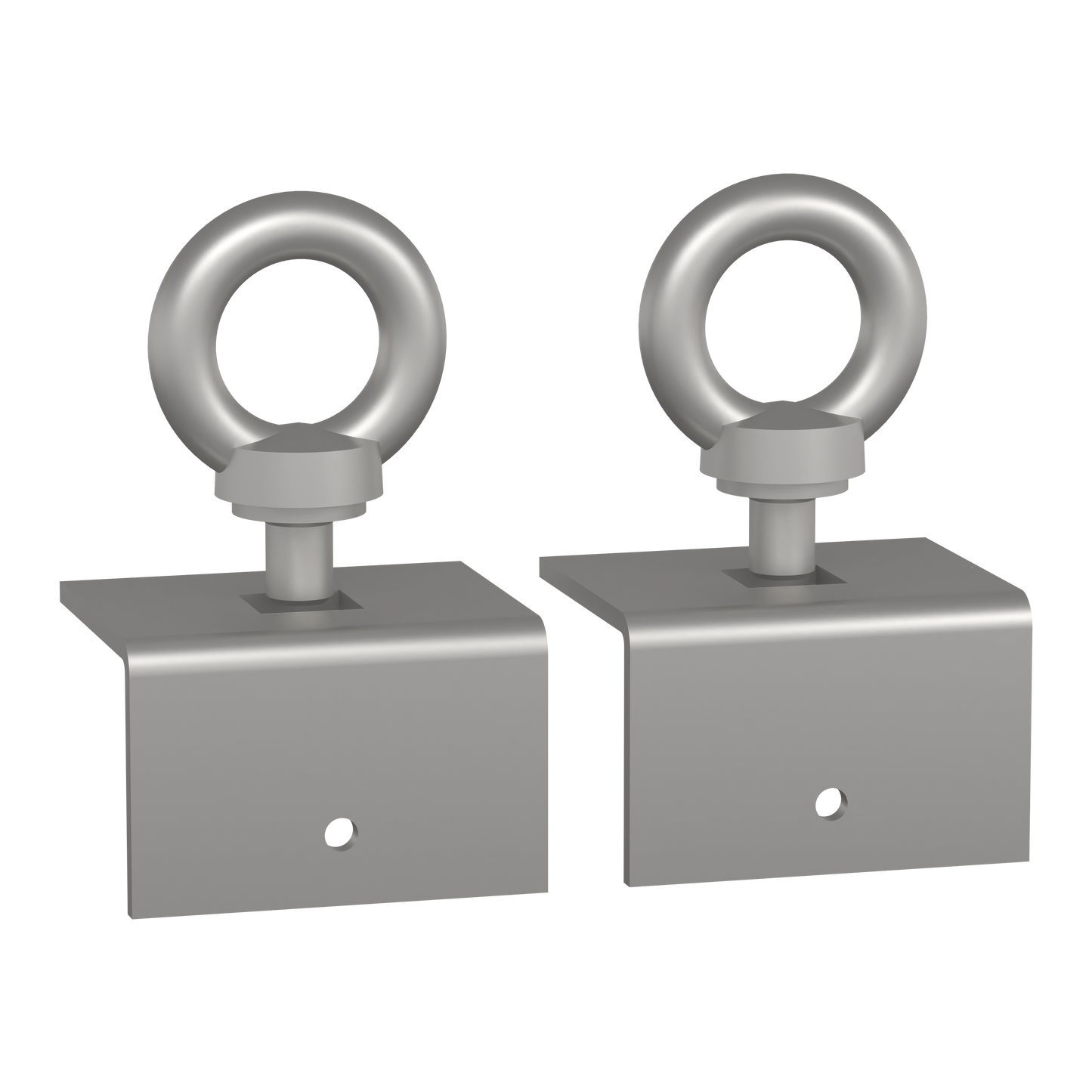 Schneider Electric-NSYAELYTCRG8-PanelSeT Accessoires - jeu de 2 anneaux levage M8 - pour coffret