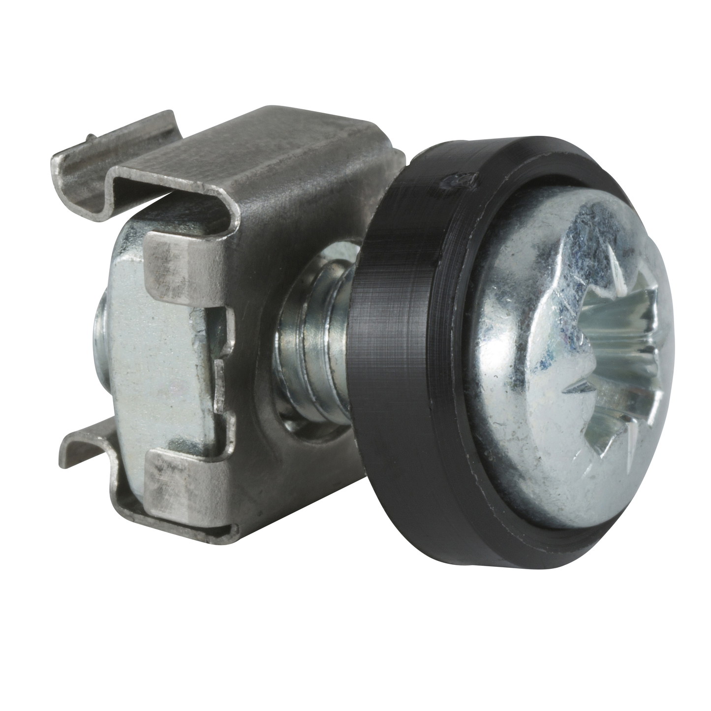 Schneider Electric-NSYGFR166P-Actassi lot de 50 vis M6x16 + rondelle plastique