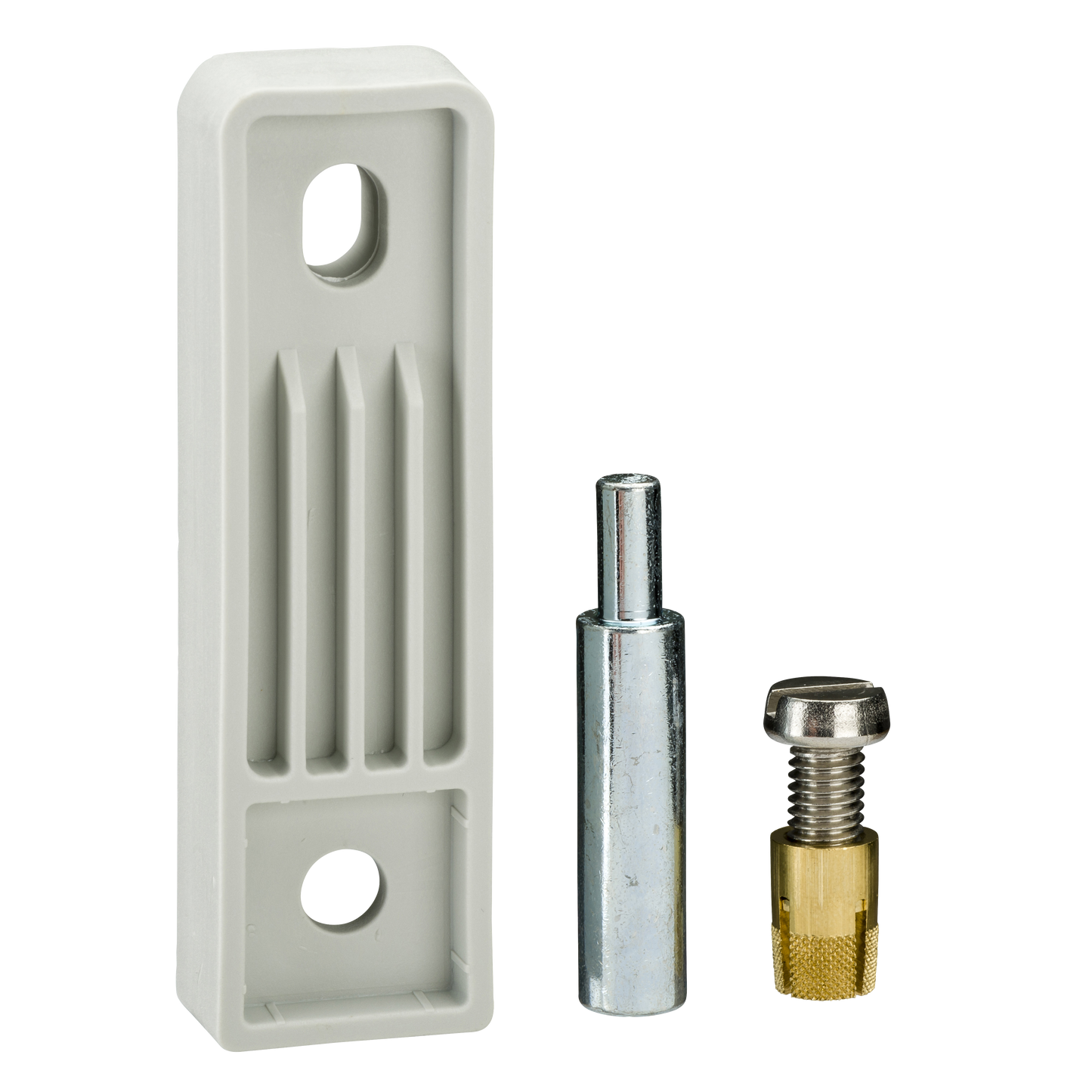 Schneider Electric-NSYPFPLMG-Thalassa - Ensemble de 4 fixations murales polyester PLM3025-108 Ral 7035