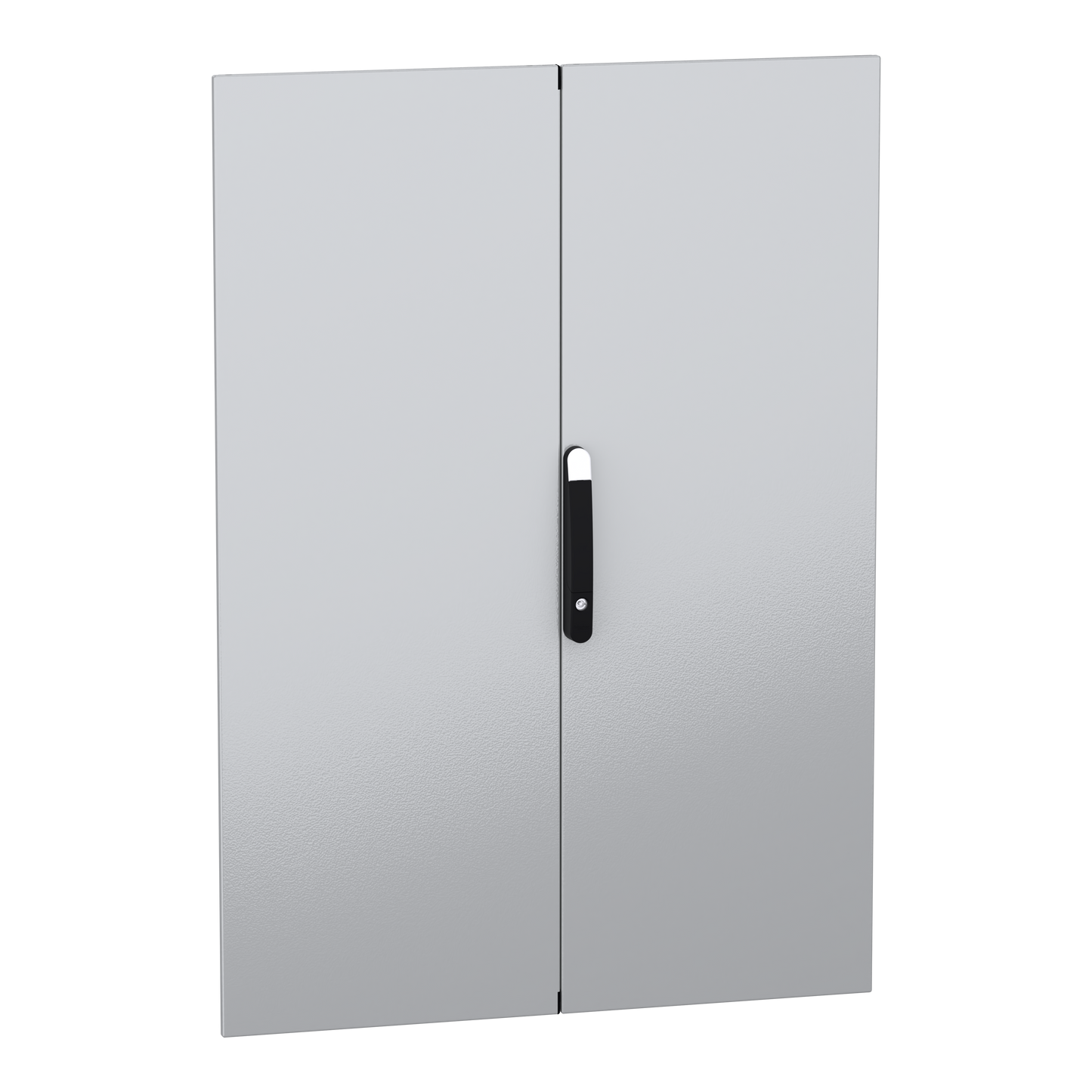 Schneider Electric-NSYSMDN14102D-PanelSeT SFN Accessoires - porte pleine double - 1400x1000 mm (HxL)