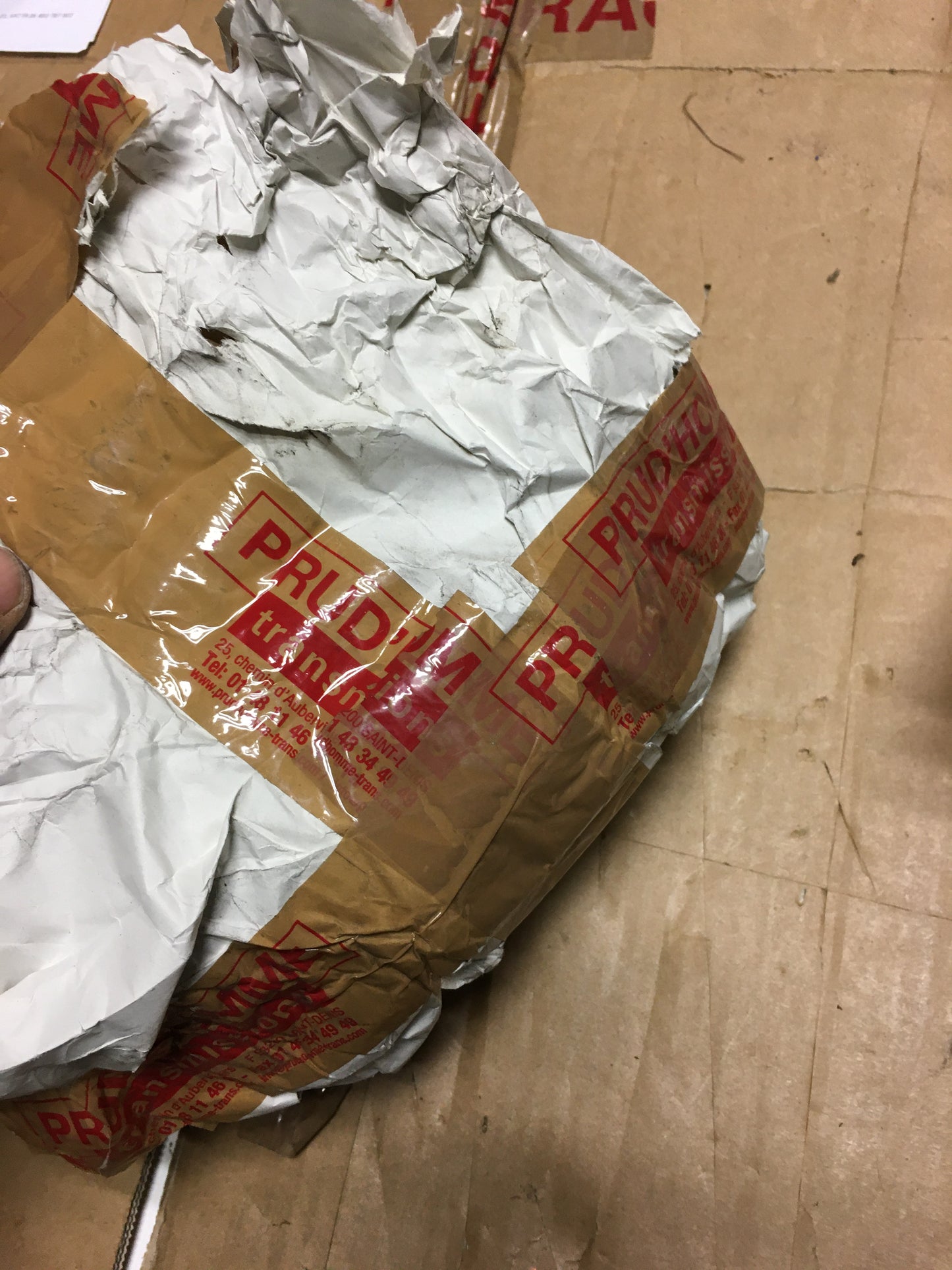 PRUD'HOMME-P19 H 100 MA/P19H100MA