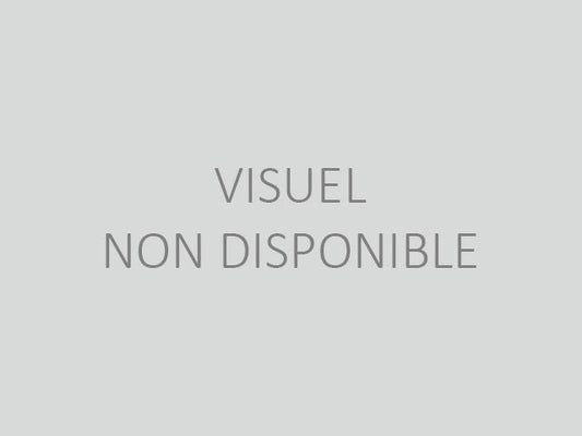 Schneider Electric-LVS03816AX-PrismaSeT G - Plastron plein - 6M - L300 - Peinture RAL spéciale