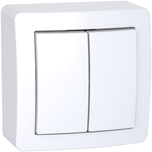 Schneider Electric-ALB62056PW-Reconditionné - Alréa, Double va-et-vient avec cadre saillie, blanc polaire