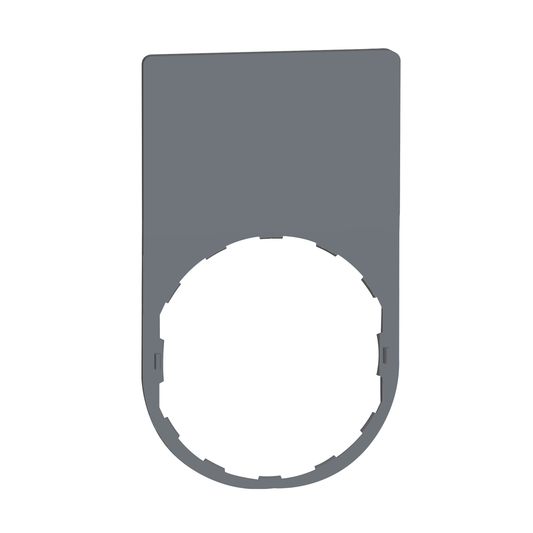 Schneider Electric-ZBYP6101C0-LGNDPLATE 30x50 2ROW-BLNK LABEL(BLK/RED)