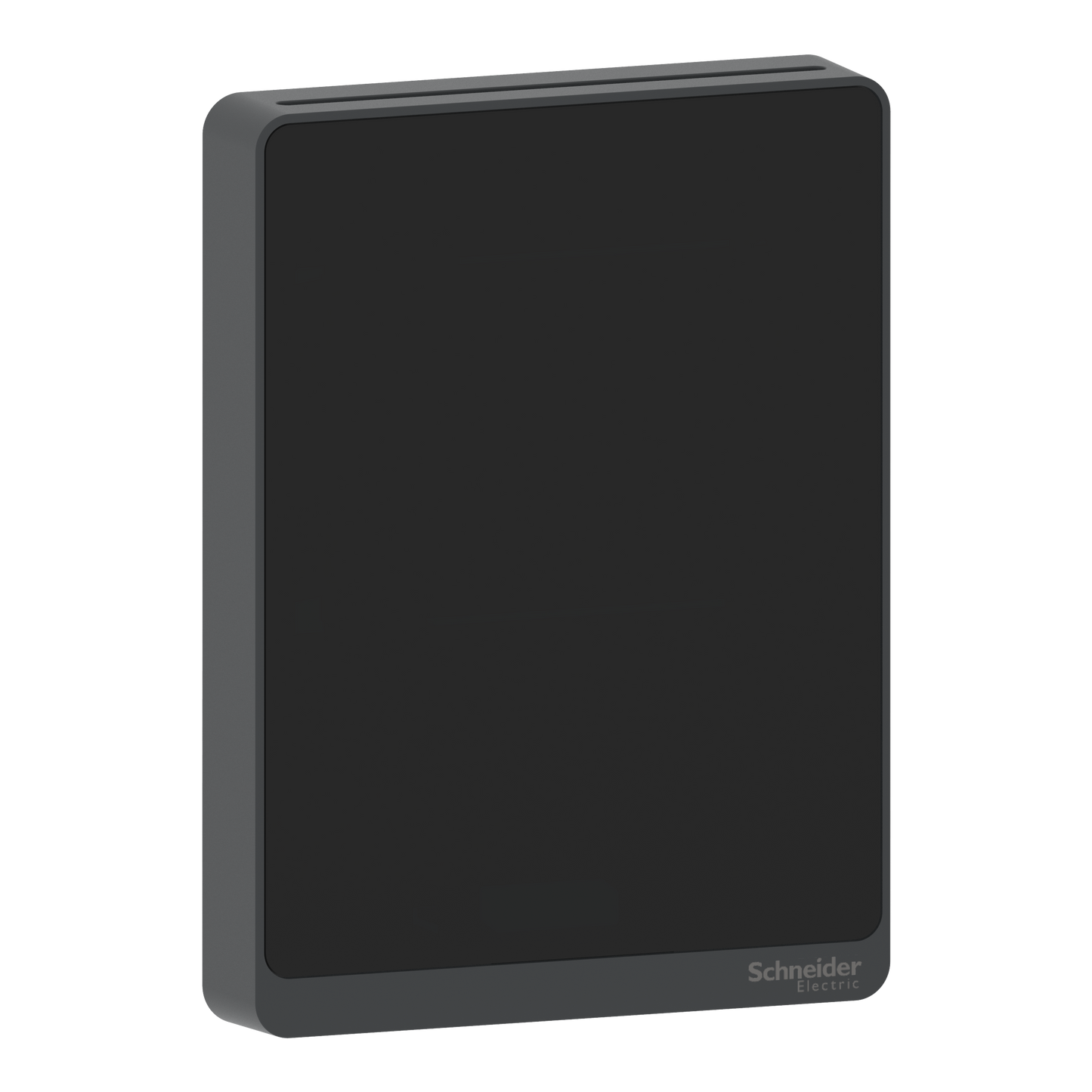 Schneider Electric-SLABXXX-BMS - sonde analogique optimum noire 0..10V - 4..20mA