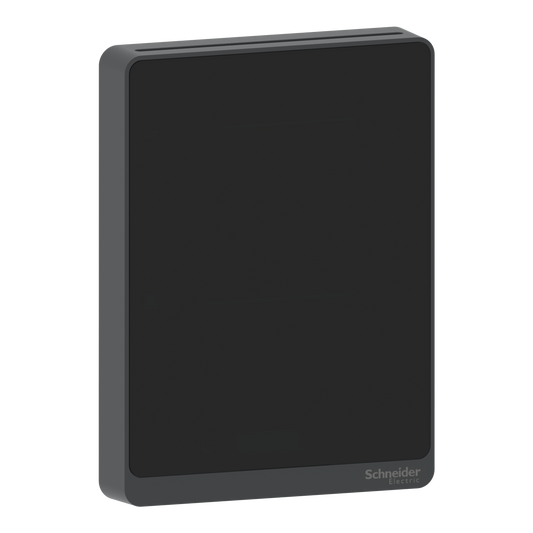 Schneider Electric-SLABXXX-BMS - sonde analogique optimum noire 0..10V - 4..20mA