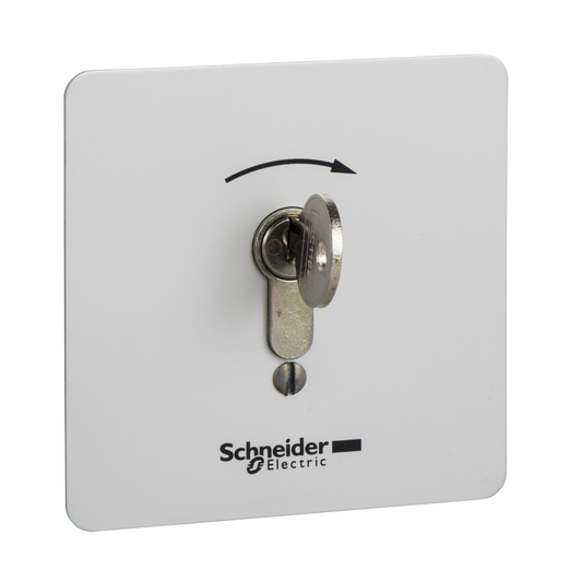 Schneider Electric-XAPS14221N-Harmony XAPS - boîte à boutons - encastrable - inviolable - à serrure