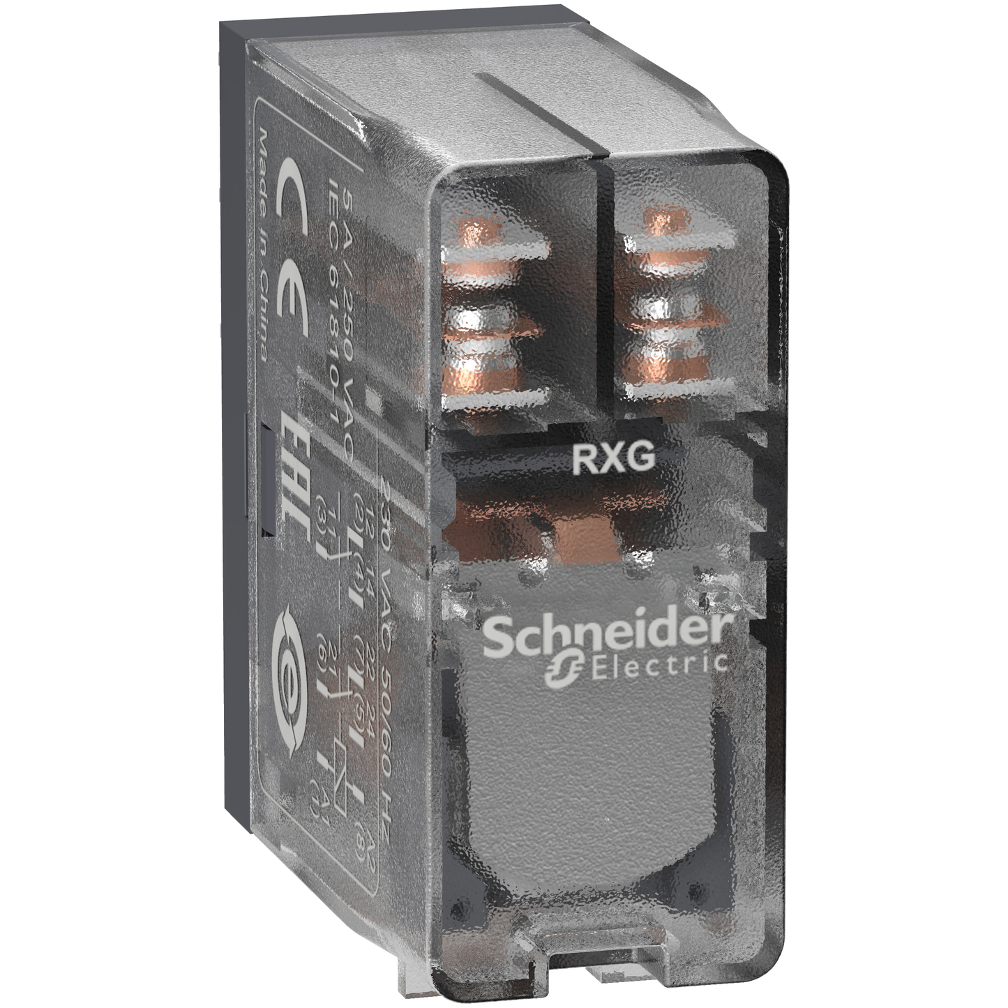 Schneider Electric-RXG25B7-Harmony Relay RXG - relais interface - embrochable - 2OF - 5A - 24VAC