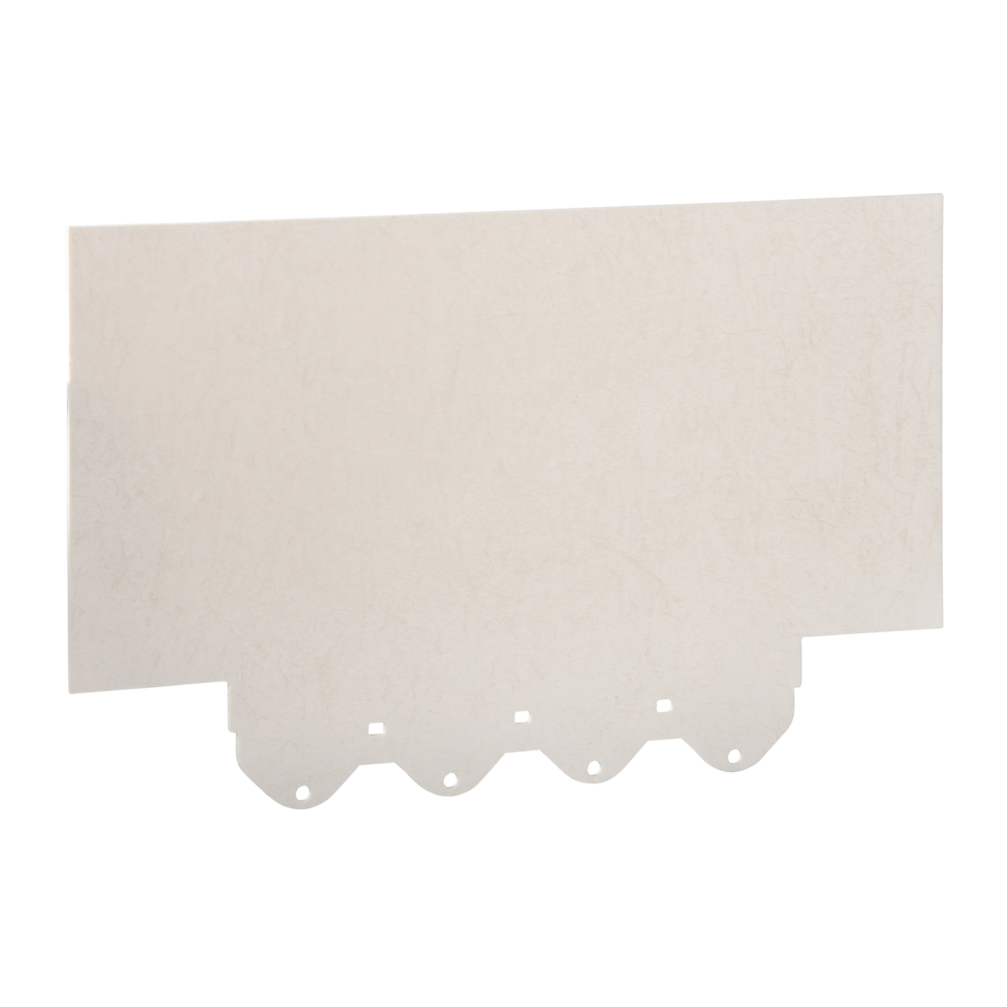 Schneider Electric-LV432579-ComPacT NSX - 2 écrans isolants pour disjoncteur - pas de 70 mm - 4P pour NSX630