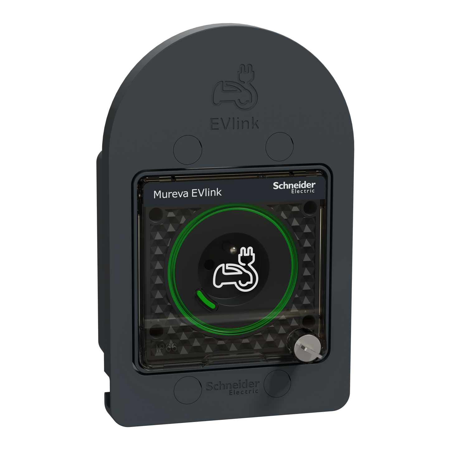 Schneider Electric-MUR36015-Mureva EVlink - Prise courant 2P+T renforcée pour VE - IP66 IK08 - à clé - gris