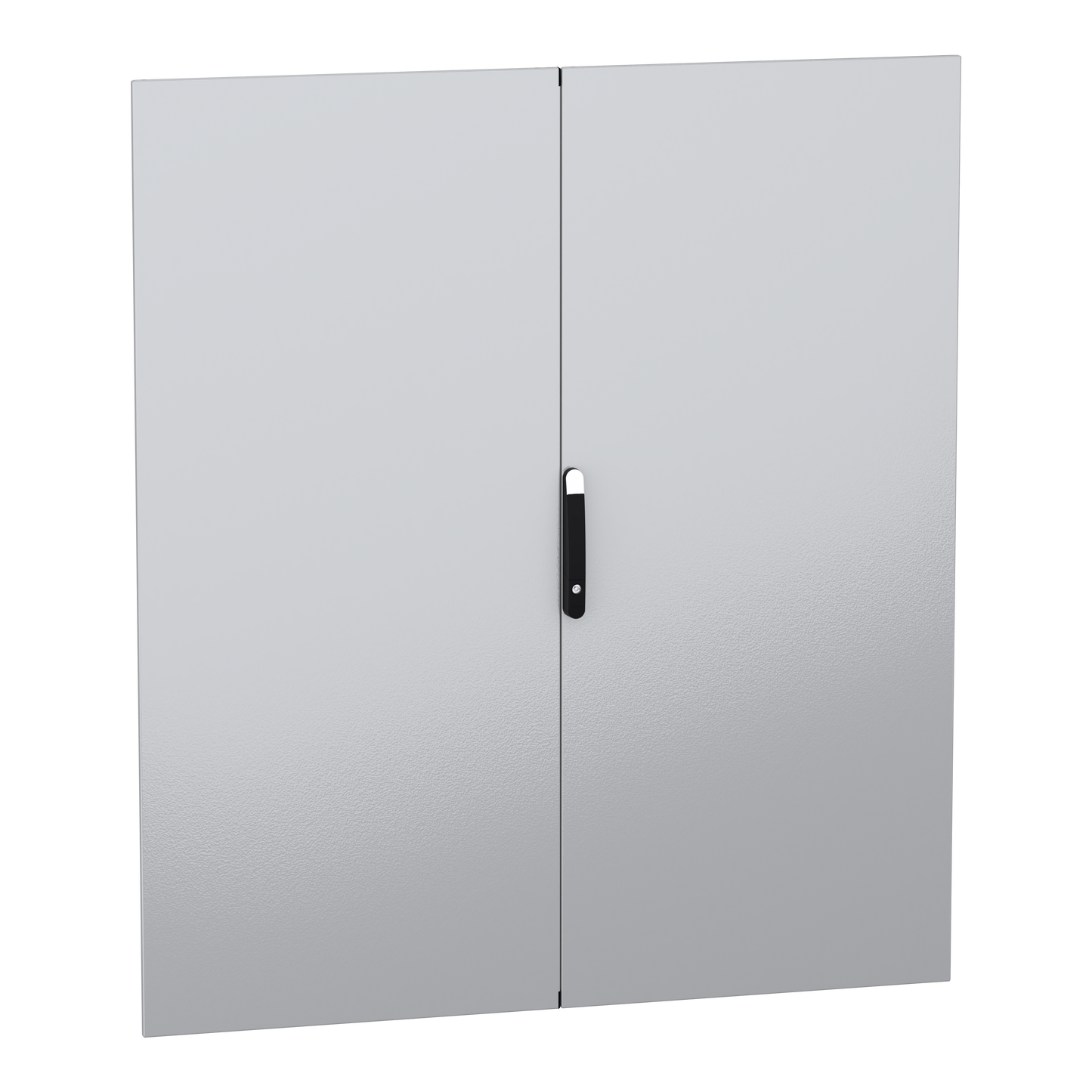 Schneider Electric-NSYSMDN18162D-PanelSeT SFN Accessoires - porte pleine double - 1800x1600 mm (HxL)
