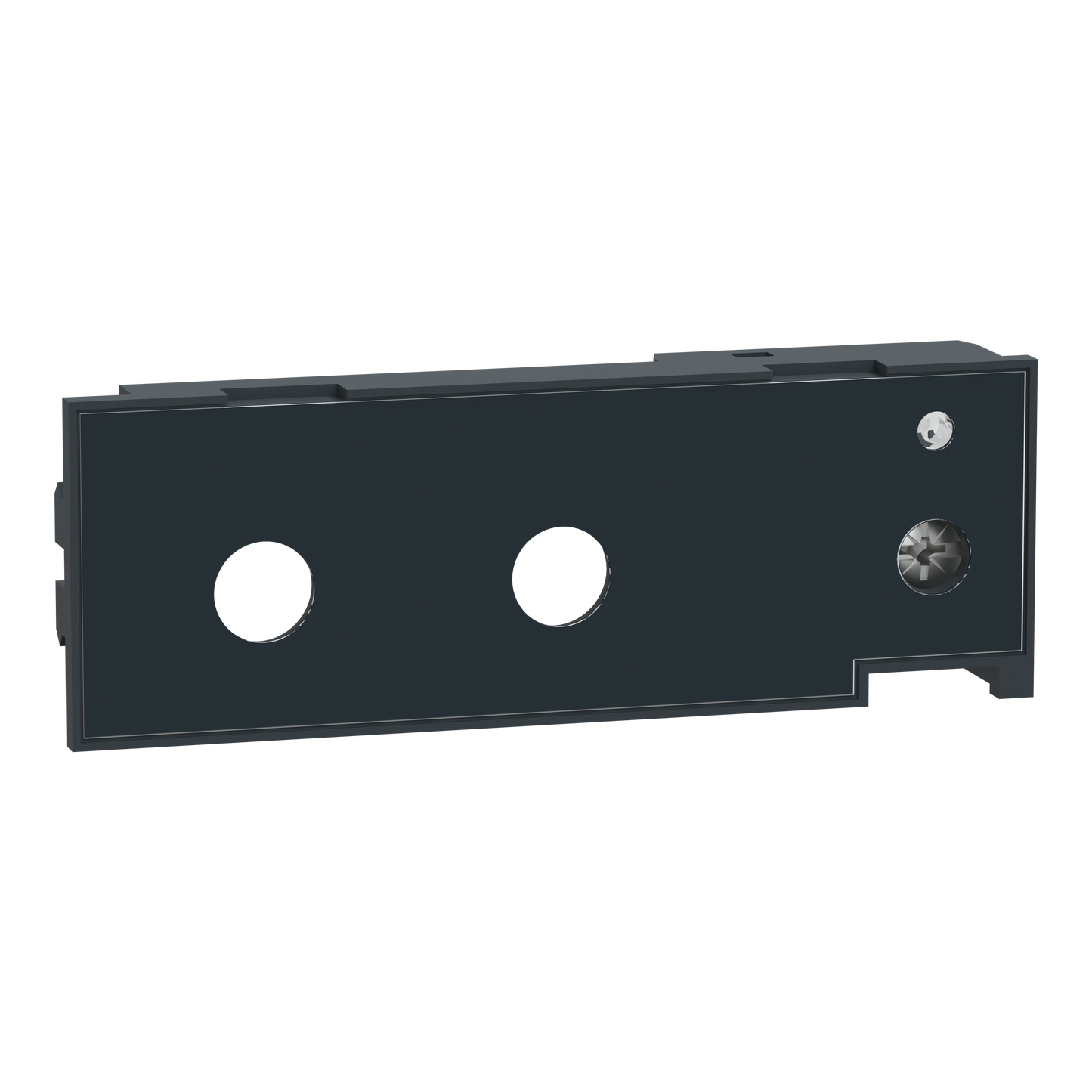 Schneider Electric-C33545-ComPacT NS - calibreur IEC - long retard OFF - fixe - pour NS630-3200