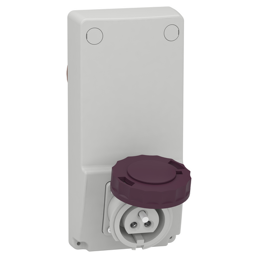 Schneider Electric-82076-Mureva - prise interverrouillée - 16A - 2P - 230Vca - IP65 - panneau
