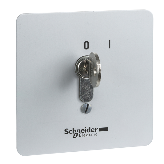 Schneider Electric-XAPS14111N-Harmony XAPS - boîte à boutons - encastrable - inviolable - à serrure