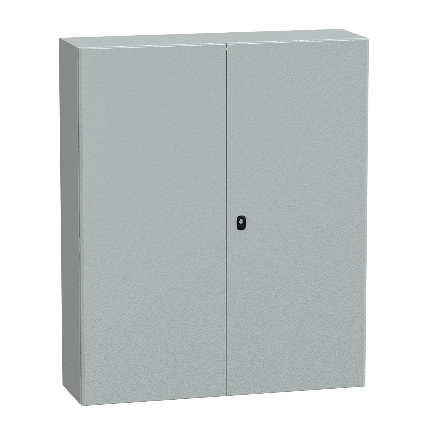 Schneider Electric-NSYS3D121030D-PanelSeT S3D - Enveloppe acier - H1200xL1000xP300 - 2 portes pleines