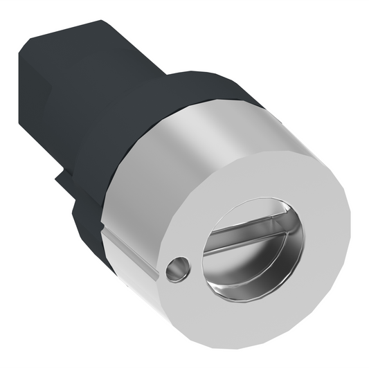 Schneider Electric-NSYAEDLS3DC-PanelSeT Pièces détachées - fermeture standard - pour S3DC