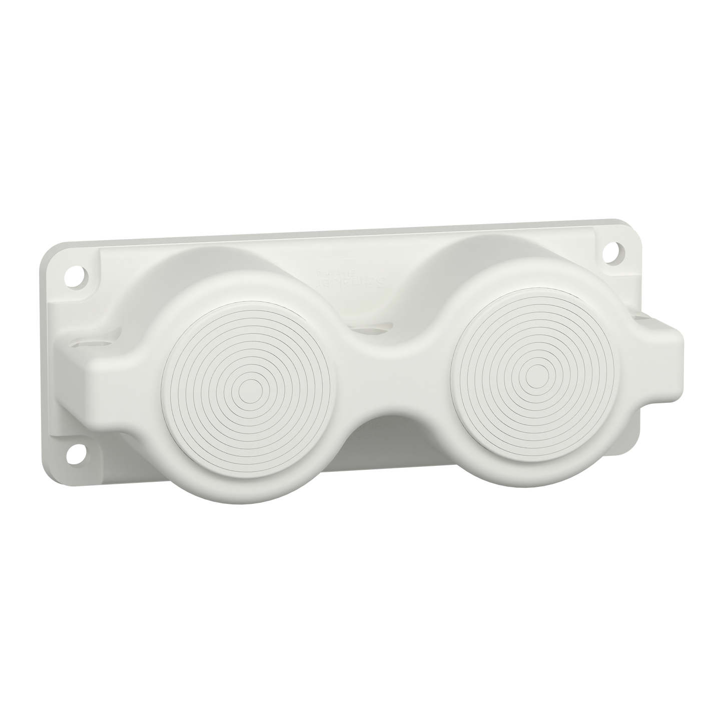 Schneider Electric-LVS08897-PrismaSeT G - Plaque passe-câbles FL21 à membrane - 2 entrées