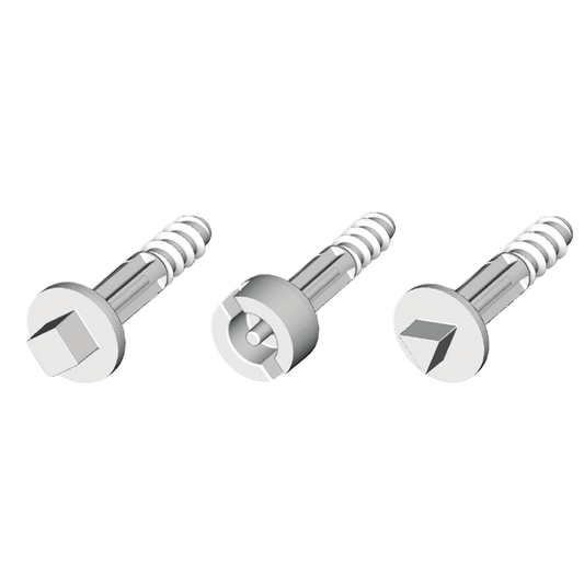 Schneider Electric-NSYAEDS20TB-Thalassa - vis plastique D16 HT20 - lot de 4