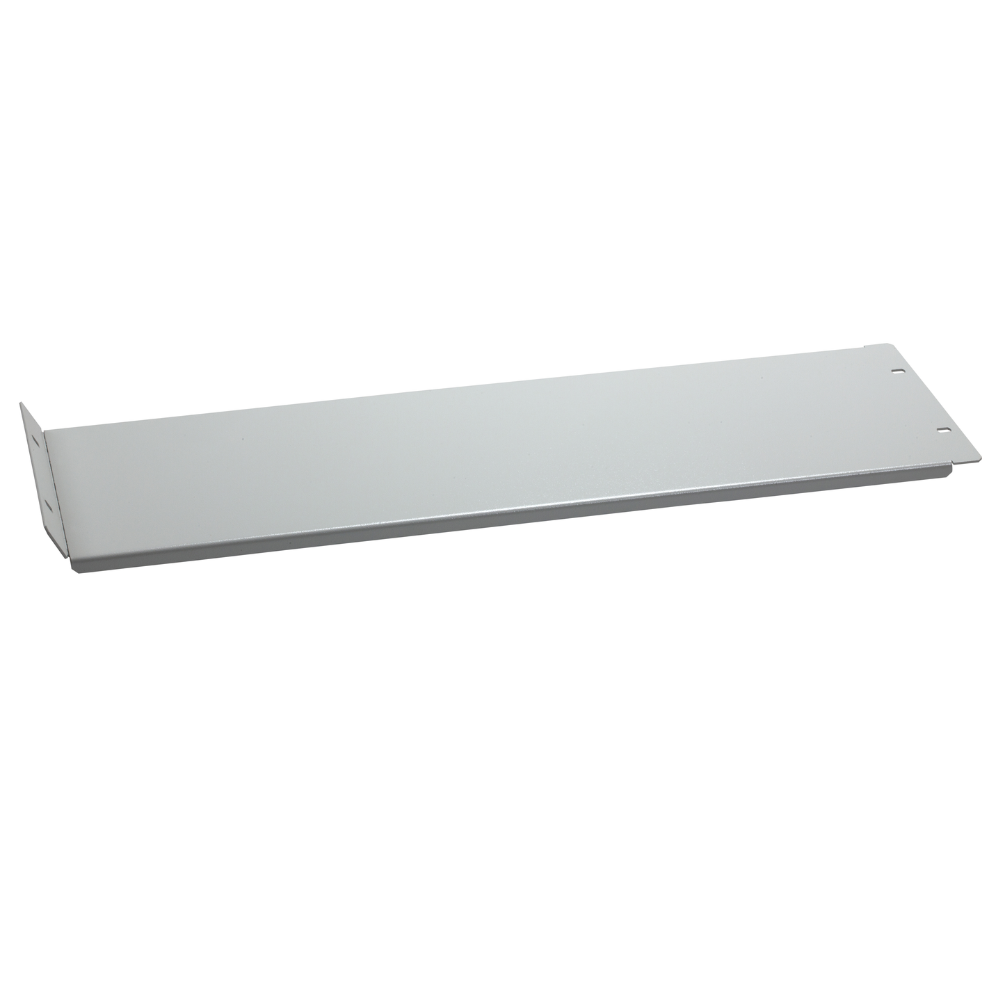 Schneider Electric-NSYMPCH456-PanelSeT - Thalassa - plastron - plein - charnières - 450x600mm