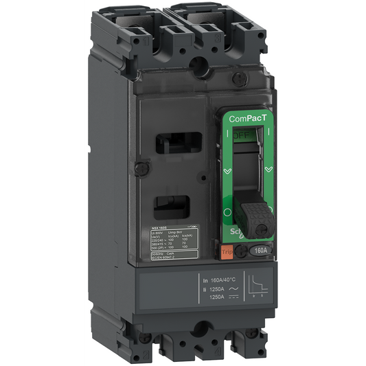 Schneider Electric-C10S2TM100-ComPacT NSX100S - Disjoncteur - TM-D 100A - 2P2D - 100kA - montage fixe