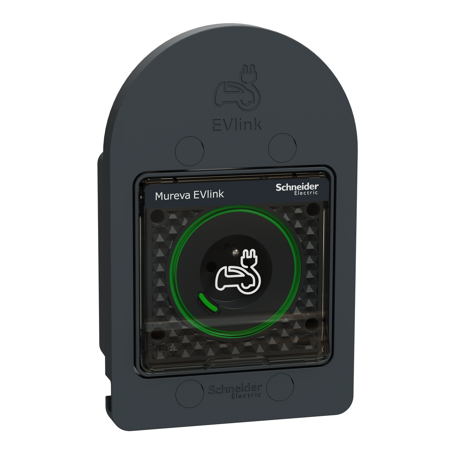Schneider Electric-MUR36014-Mureva EVlink - Prise courant 2P+T renforcée pour VE - IP66 IK08 - gris