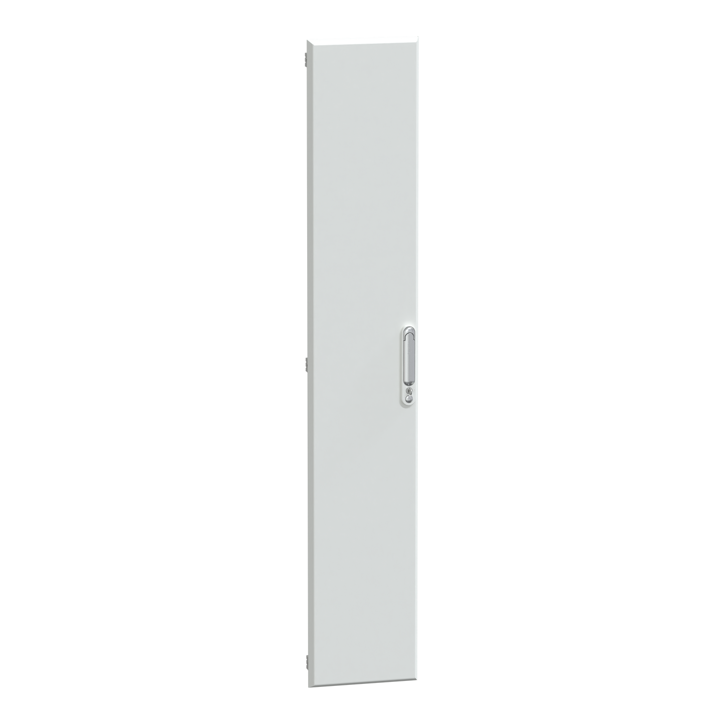 Schneider Electric-LVS08284-PrismaSeT G  - Porte pleine gaine d'extension 33M - L300 - RAL9003
