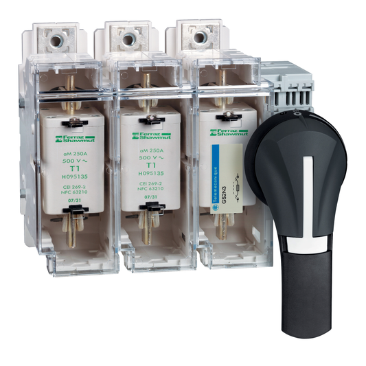 Schneider Electric-GS2AH530-TeSys GS - poignée frontale rotative - 100A à 400A - IP65 - noire