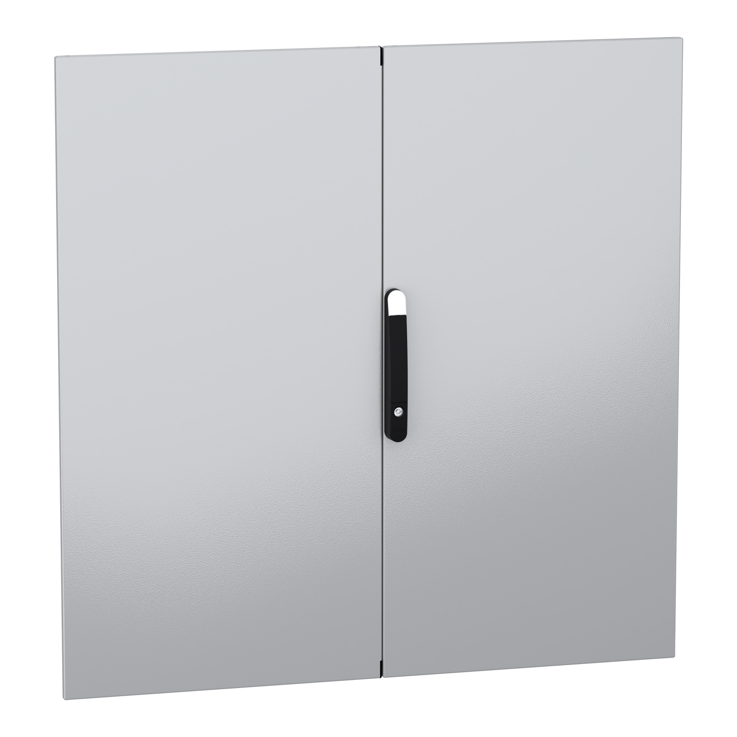 Schneider Electric-NSYSMDN12122D-PanelSeT SFN Accessoires - porte pleine double - 1200x1200 mm (HxL)